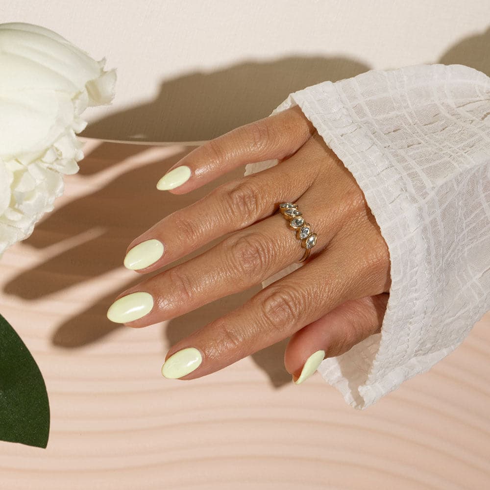 Lime Sorbet - Image 3