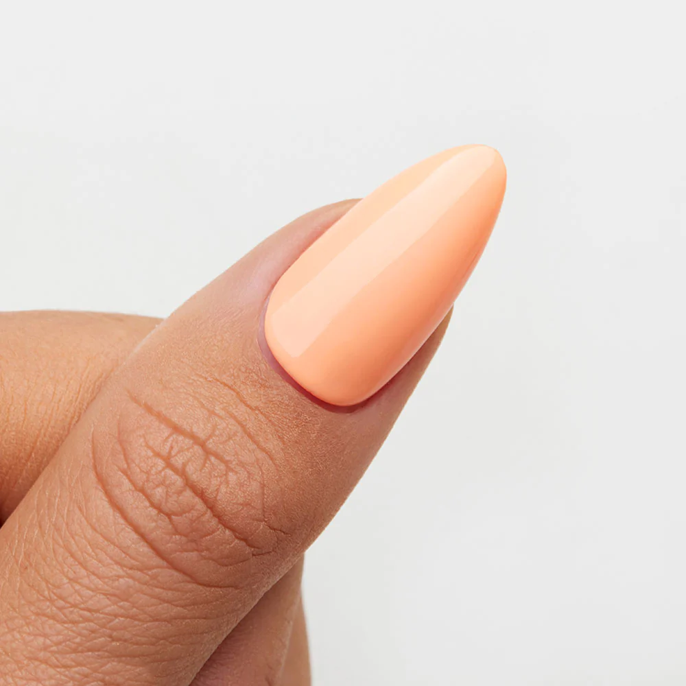 Orange Sherbet