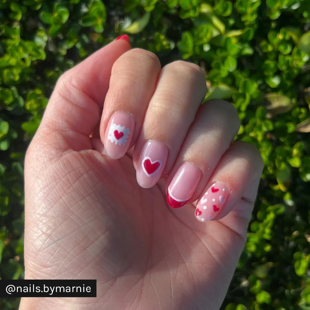 Pinot Noir - Image 10