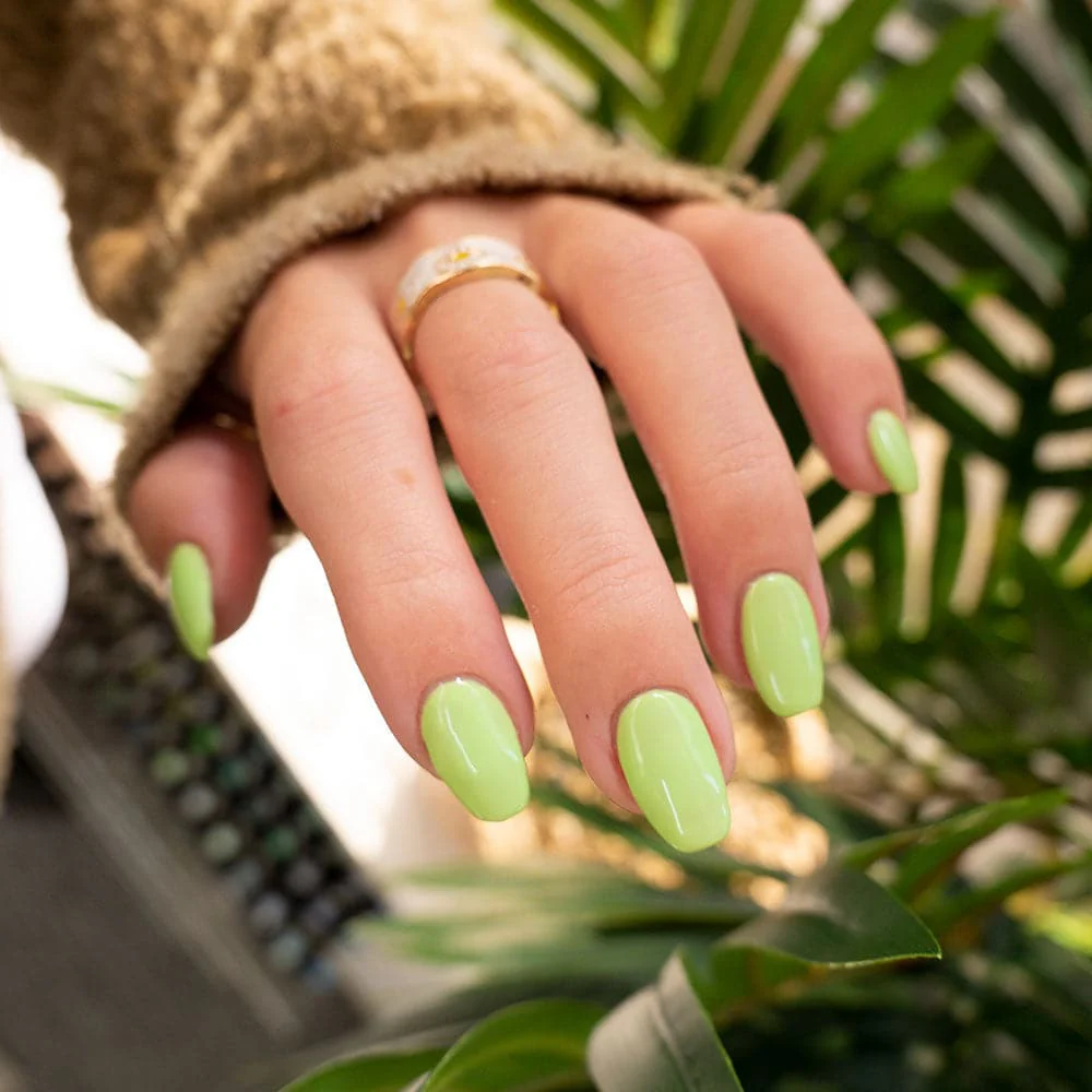 Read Between the Limes - Image 4