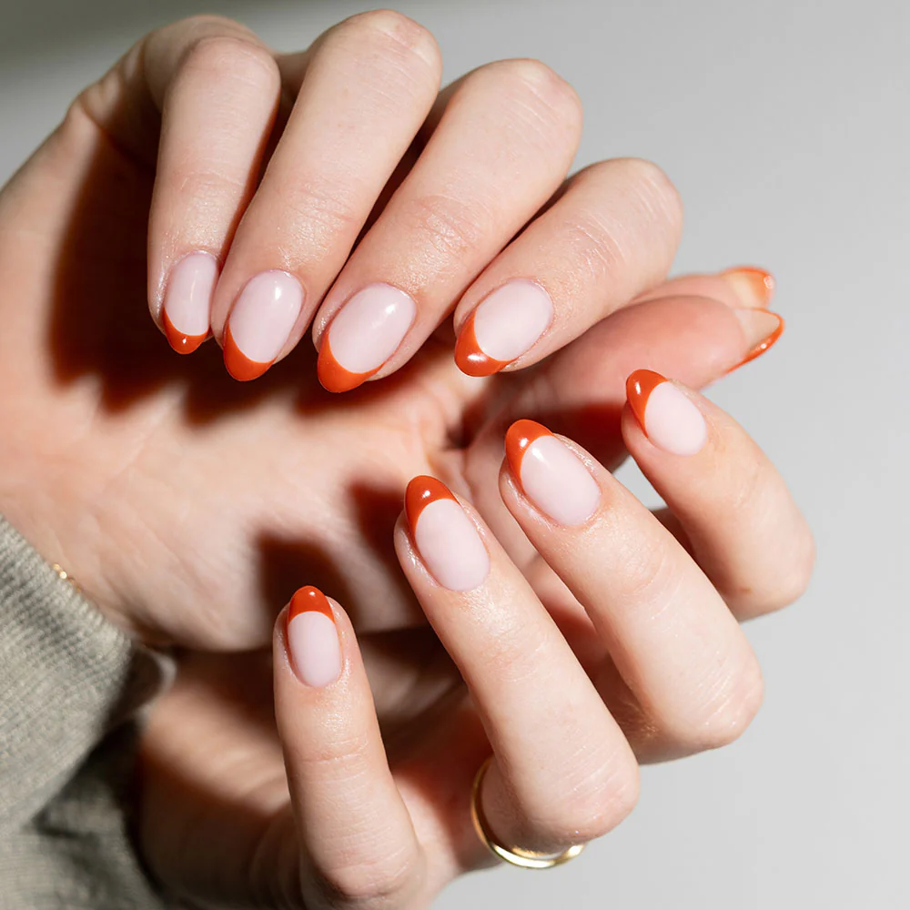 Spiced - Image 6