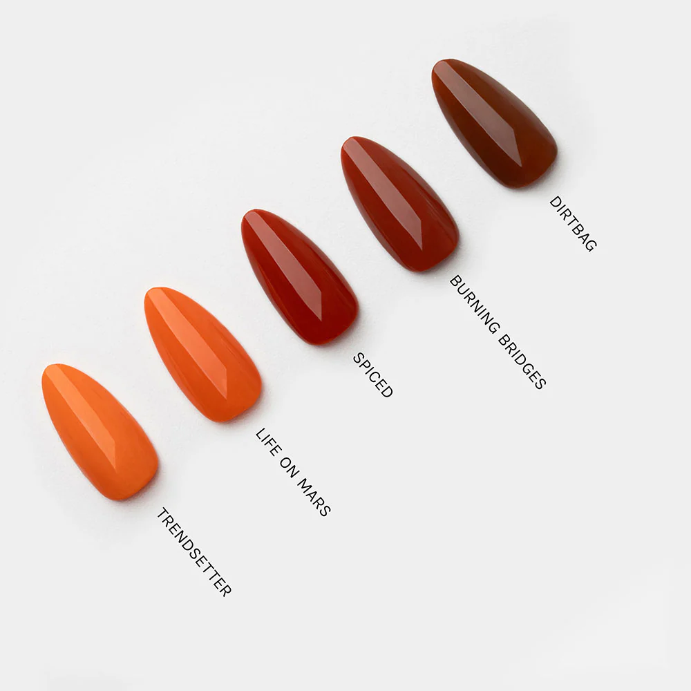 Spiced - Image 7