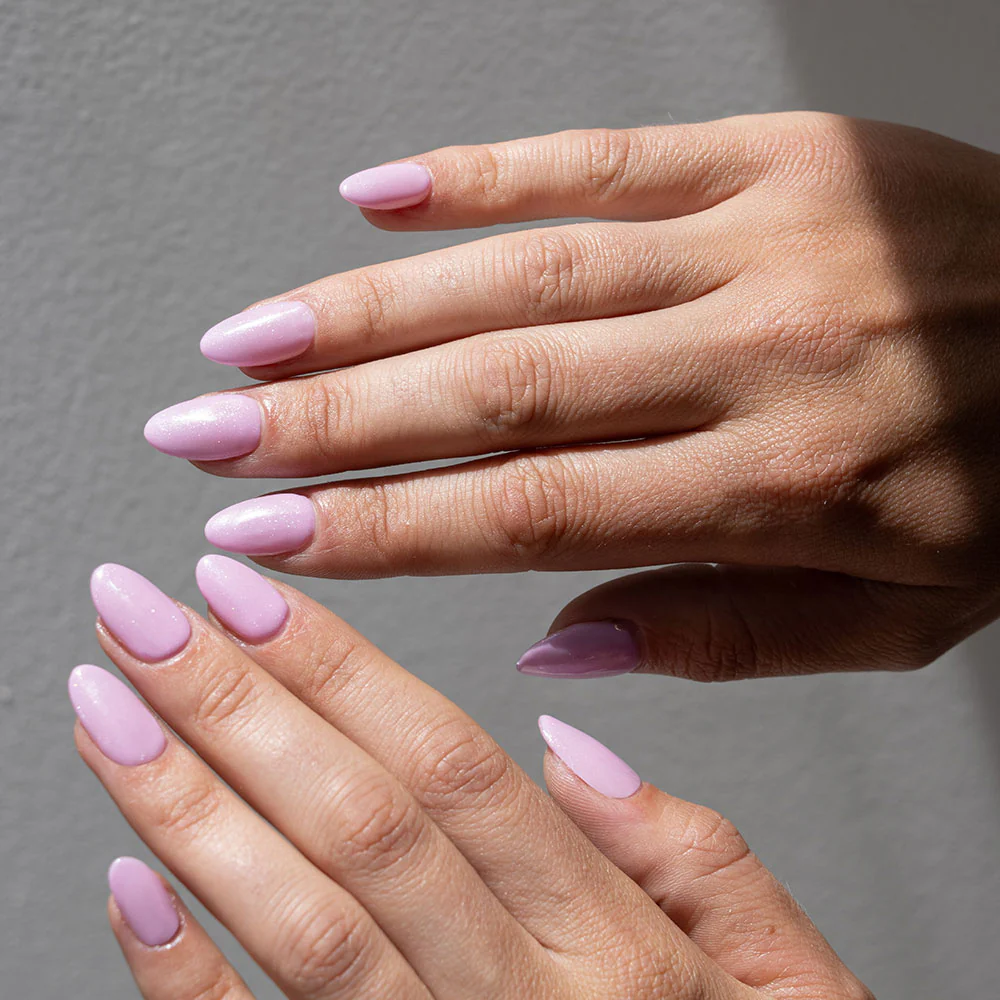 Sugar Plum - Image 2