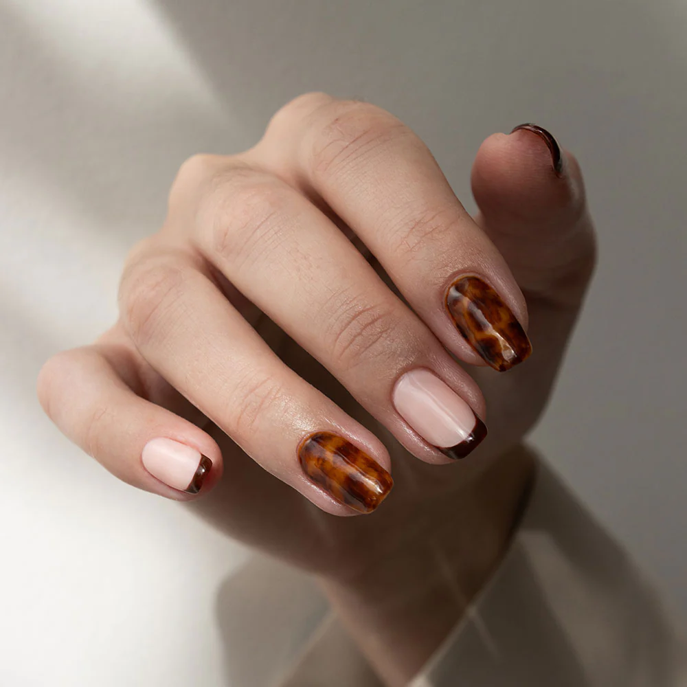 Tortoiseshell Polish Pack - Image 2