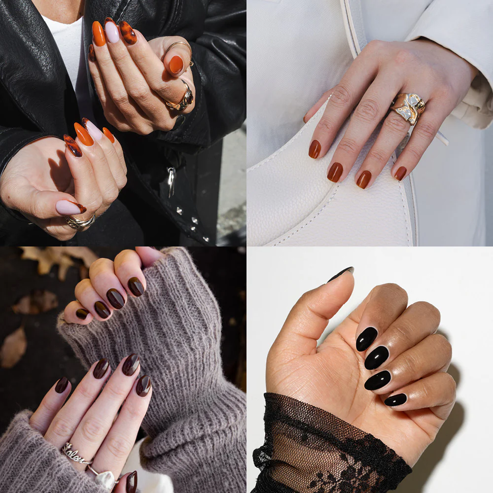 Tortoiseshell Polish Pack - Image 4
