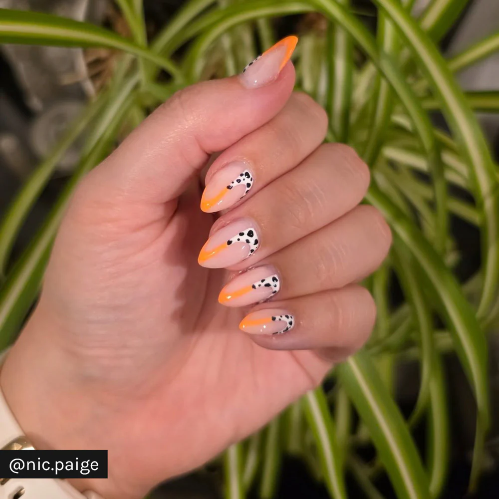 Tropical Punch - Image 11
