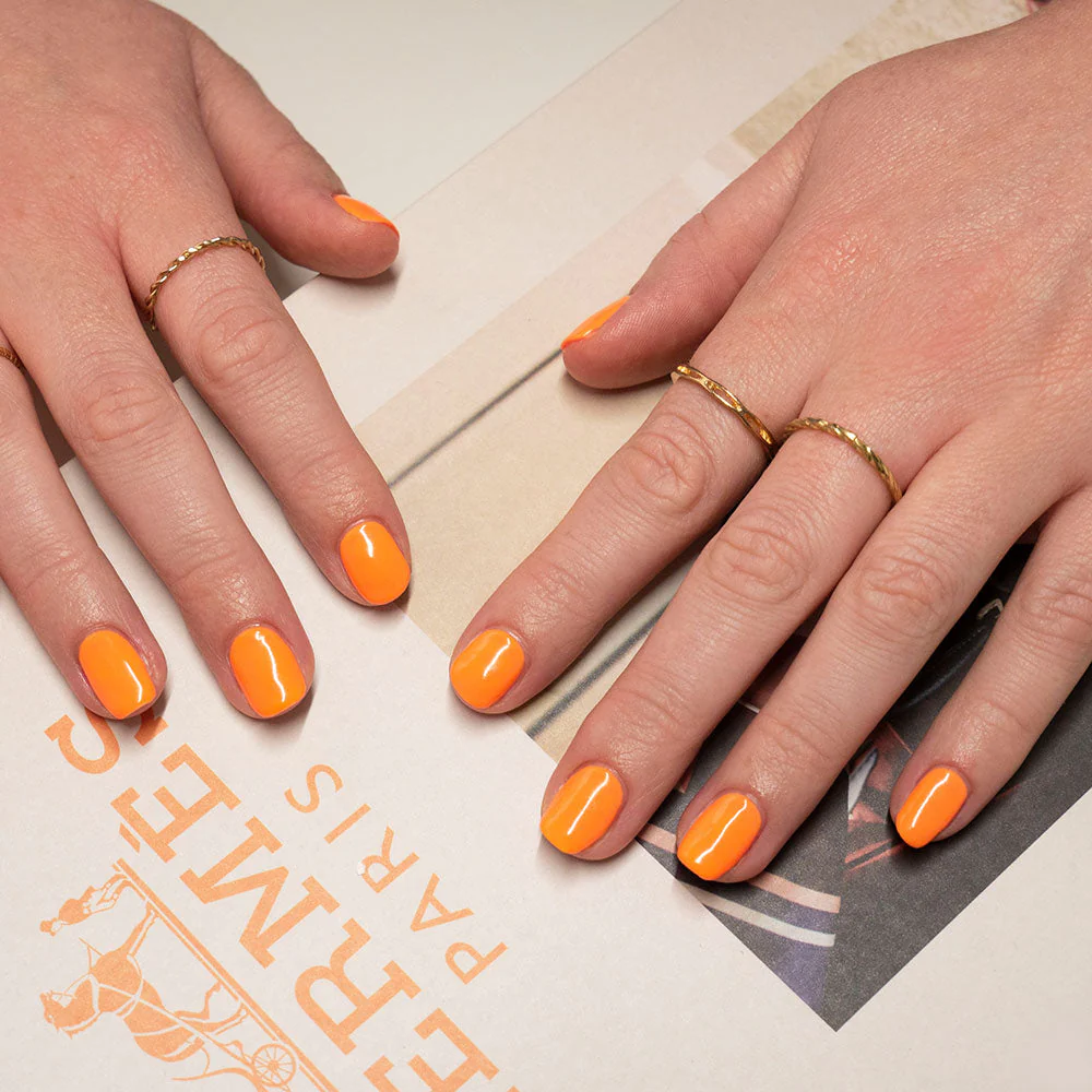 Tropical Punch - Image 3
