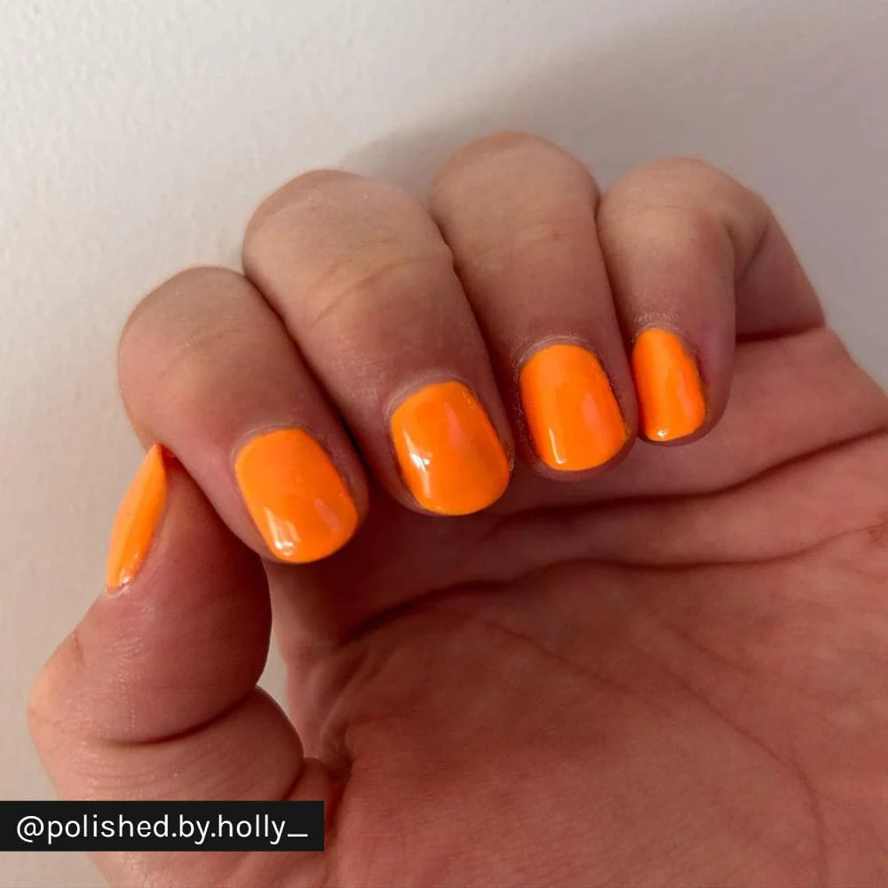 Tropical Punch - Image 6