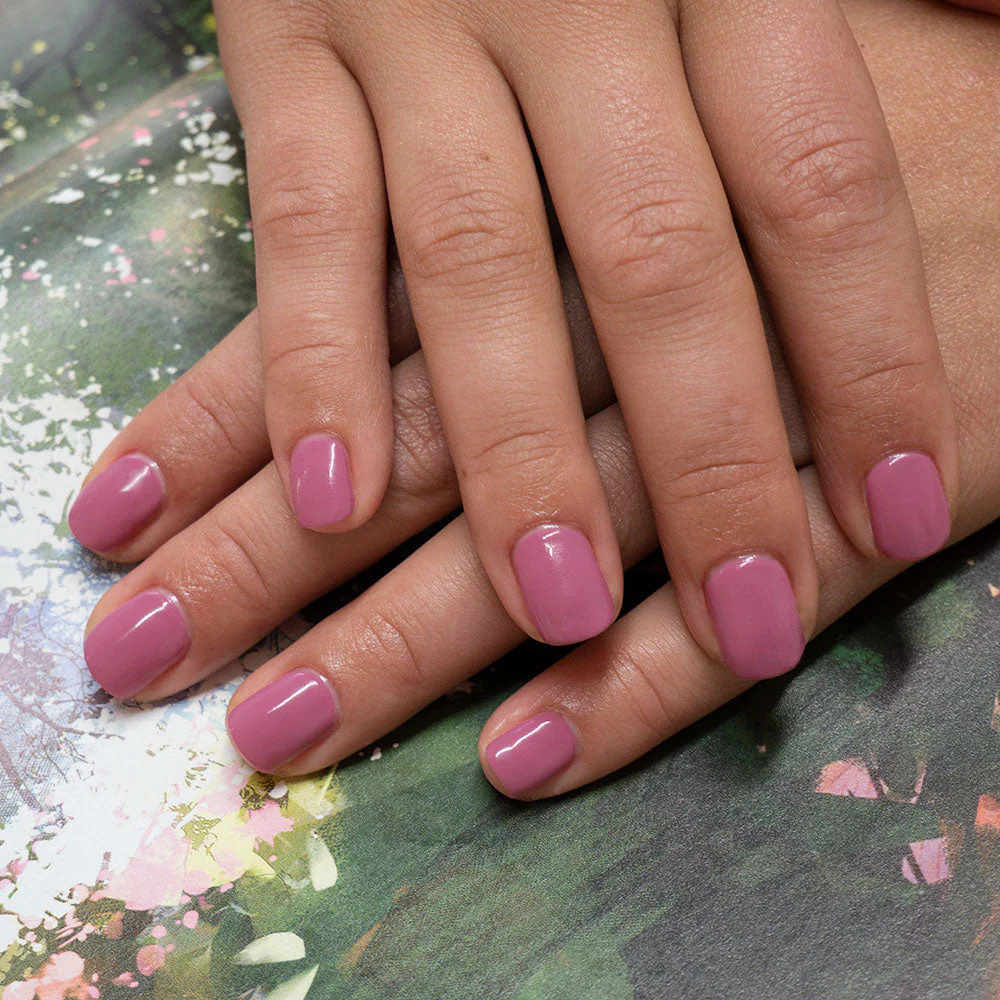 Vintage Rose - Image 3