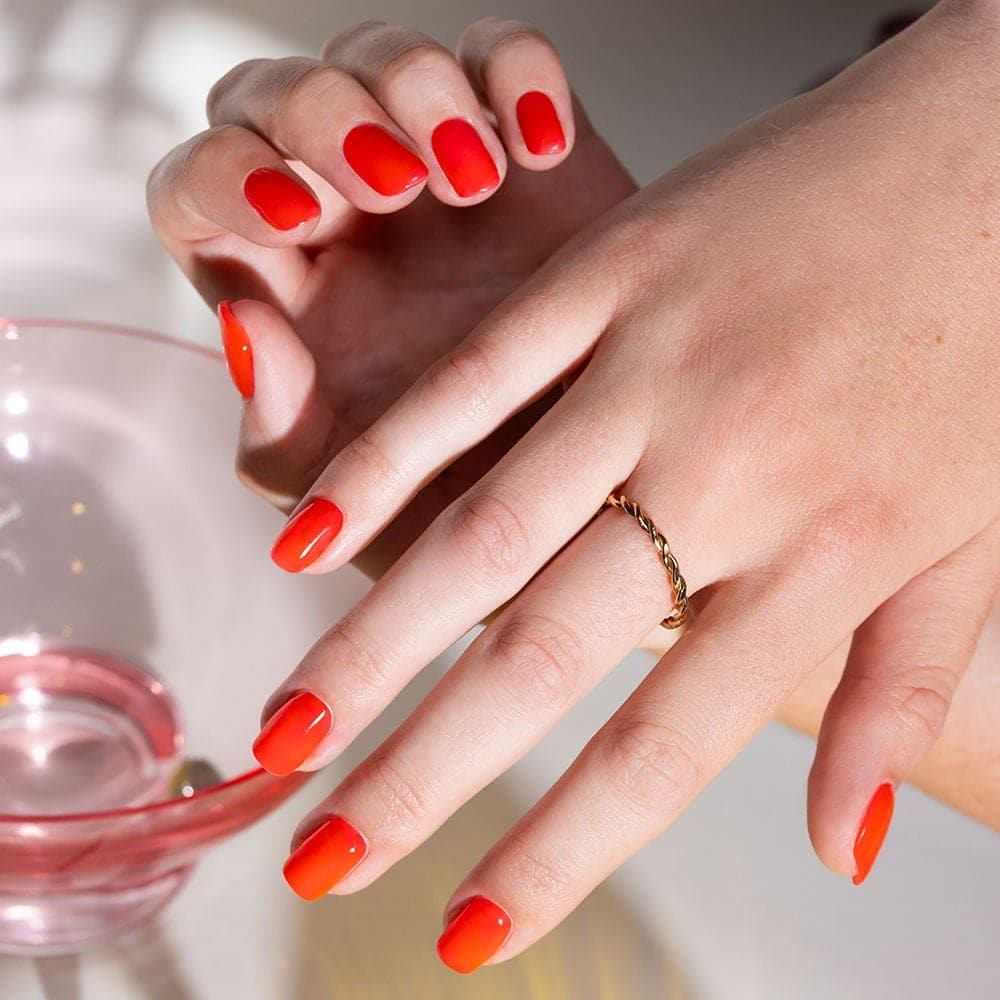 Watermelon Jelly - Image 3